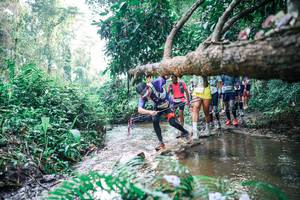 BIB: 
                            <button type="button" onclick="openModal(25455778)" class="btn btn-primary btn-sm float-right btn-popup" data-toggle="modal" data-target=".modal-high-quality">
                        <i class="fas fa-shopping-cart"></i> Add to Cart
                    </button>
                                            <button type="button" onclick="isThisMe(25455778, true)" class="btn btn-success btn-sm float-right btn-popup btn-isme hidden" data-toggle="tooltip" data-placement="bottom" title="นี่คือรูปของคุณใช่ไหม คลิกที่นี่เพื่อเอาเข้าอัลบั้ม">
                        <i class="fas fa-plus"></i> Add to album
                    </button>
                    <button type="button" onclick="isThisMe(25455778, false)" class="btn btn-warning btn-sm float-right btn-popup btn-isnotme hidden">
                        <i class="fas fa-ban"></i> Remove from album
                    </button>